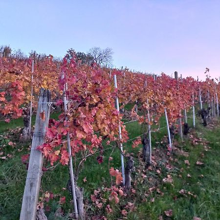 La Briccola Villa Diano dʼAlba Dış mekan fotoğraf