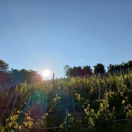 La Briccola Villa Diano dʼAlba Dış mekan fotoğraf